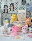 MINI SKZOO PELUCHE 10CM BOÎTE SURPRISE