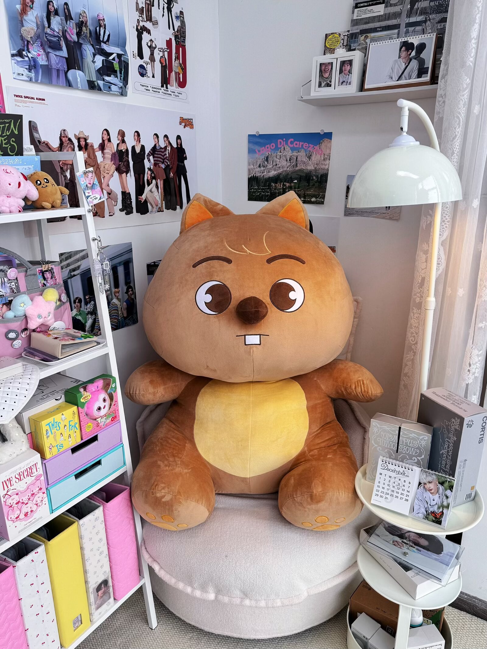 SKZOO PLUSH TEDDYBEAR クォッカ Stray Kids SKZOO HAN QUOKKA Plush Teddy Bear Ver. 5'clock 60cm | eBay