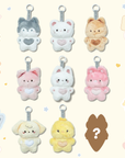 MINI SKZOO PELUCHE 10CM BOÎTE SURPRISE